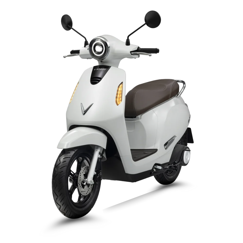 XE ĐIỆN VINFAST EVO (ĐỔI PIN)