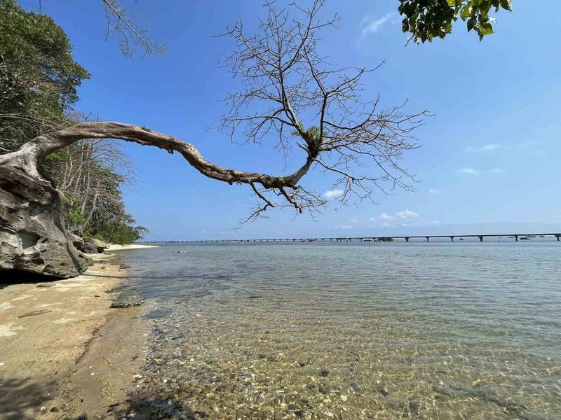 Khung cảnh yên bình, hoang sơ trong lành và mát mẻ | Cảnh đẹp Phú Quốc